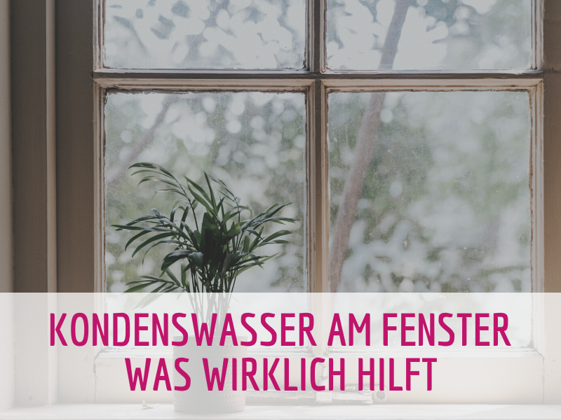 Kondenswasser am Fenster - Glaserei Schulz aus Kiel Heikendorf